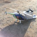 강릉송이 이미지