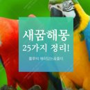 백조와 믿음 이미지