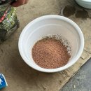 새미 낚시터 | 새미낚시터 후기 : 하우스 다 지어졌나요? 아니요