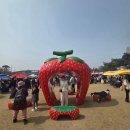 황산농장 | # 성심당 빵을 논산"딸기축제"에서 구매할 수 있다?