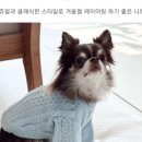 몽드드뚜뚜 이미지