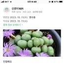 DC플러스마트 이미지