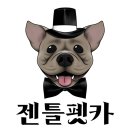 젠틀펫카 이미지