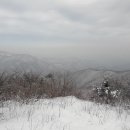 태백산족발 이미지