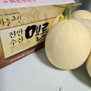수진농원 이미지