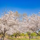 강변자전거길 1 이미지