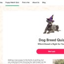 어스펫(US-pet) | 마케팅 및 광고 (7) : 美 브리더 및 브리딩 웹사이트 소개 (2/4) _ 품종견 브리더의 비밀 노트 (82)