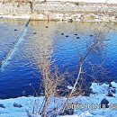 수원팔색길 모수길 이미지