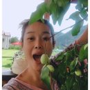 농부맘마트 이미지