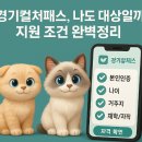 시니어 모델(나이,성별제한 없음) | 경기컬처패스, 나도 대상일까? 지원 조건 완벽정리