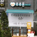 루루몽 이미지