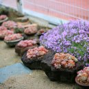 파랑새농장 이미지