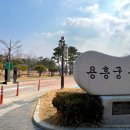 강화도령김밥 이미지