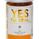 예스예스애견 이미지