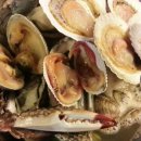 돈비치조개탕 이미지