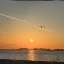 주정차단속-131 이미지