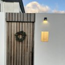 종달차경(메리골드) 이미지