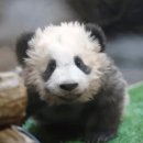 블로그 2회차