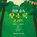정원숲속 오소록 콘서트3 이미지
