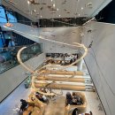 평창군립대화도서관 | 남한강 뷰와 3층 카페 감성[ 스타벅스 더양평점] 후기