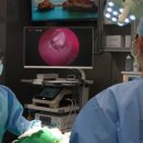 24시 해든동물의료센터 의정부점 이미지