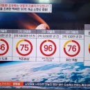 벌거벗은세계사 다섯번의 대멸종 포유류는 어떻게 지배자가 되었나 6. 신생대에서 현재의 포유류 이미지