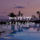 해비치 | 제주 해비치 호텔 수영장 내돈내산 후기⎟복장/이용안내/주의사항/준비물