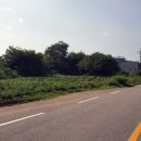 우정읍사무소 2 이미지