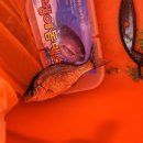 학리2(방파제) 이미지