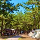 해빛1로 이미지