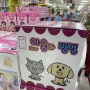홍헤원 이미지