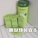 달달하게 챙기는 트레이더스 효소 비비랩 매실채움효소 신상품 후기