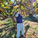 영우농원 이미지