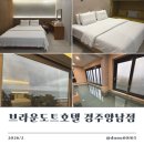 브라운도트 경주양남 | 경주오션뷰호텔 브라운도트경주양남점, 바다 앞 호캉스 숙소 추천