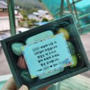[김천] 백일 답례떡, 추석 선물용 떡 후기 &#39;떡보의하루&#39;