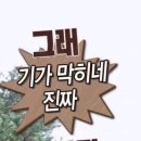 관동야채