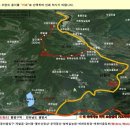 차량골농원 Daum카페