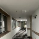 청평파인호텔 | [속초 숙소] 설악 파인리조트 솔직한 비추 후기 (25.11.1-2)