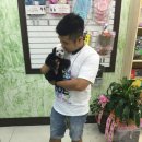 팬더애견샵 이미지