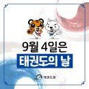 대한미르태권도장 이미지