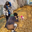 서울동물복지지원센터 동물병원 이미지