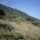 신안군 흑산면 만재도보건진료소 이미지