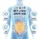 왜 나이들수록 체중 감량이 어려울까 ? [출처] ◇ 왜 나이들수록 체중 감량이 어려울까 ? ◇|작성자 박물관 이미지
