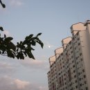 함양제일장례식장 | 어떤 인생의 희박한 확률을 믿어야 하는 한 주의 일상(~20. 10. 04)