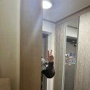 럽덥파이 이미지