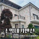 옥천원할인마트 | 충북 옥천펜션 : 소막대기펜션 (힐링하고 온 프라임 1층 후기)