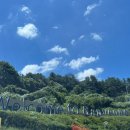 삼봉카센타 이미지