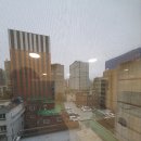 더스테이휴 이미지