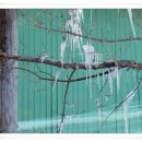 물레방아영양탕 이미지