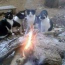 게임스파이 PC방 이미지